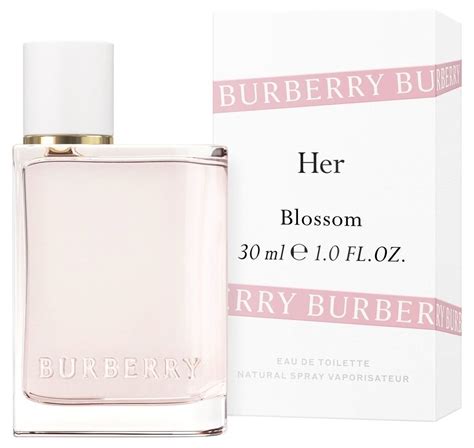 burberry her blossom dupe|scents like burberry her.